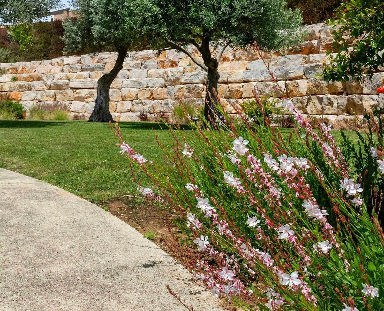 Resort Vale De Milho Village Carvoeiro